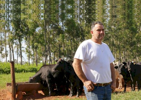 A história do agricultor paranaense que revolucionou a produção de soja