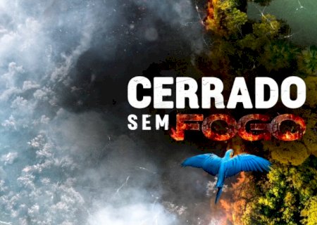 Cerrado Sem Fogo mostra os impactos das queimadas no bioma