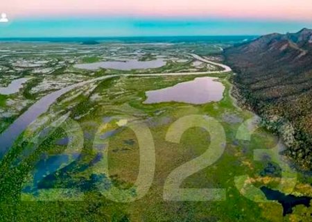 Depois do fogo, Lei do Pantanal é 'chama' de esperança na continuidade do bioma