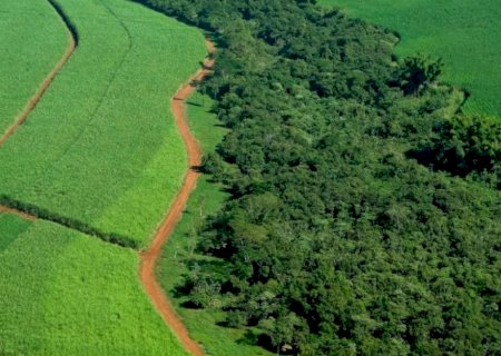 G20: Brasil quer destravar US$ 10 bilhões de fundos verdes