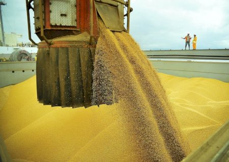 Anec eleva projeção de exportação de soja do Brasil em janeiro
