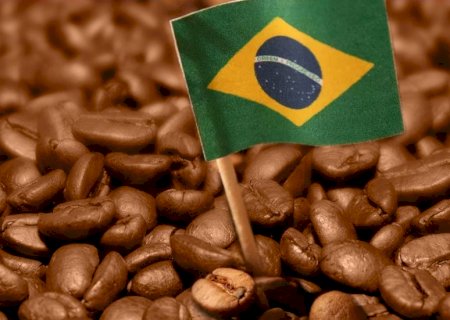 Perspectiva do café: clima deve ser desafio em 2024 para produção nacional