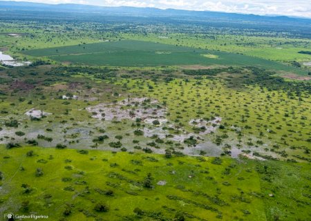 Pantanal deve ter cheias abaixo da média em 2024 e cenário é de alerta