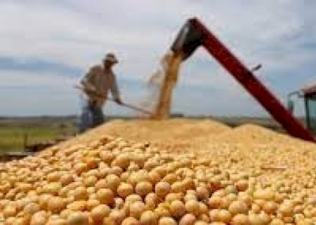 Exportações agropecuárias começam aquecidas em janeiro