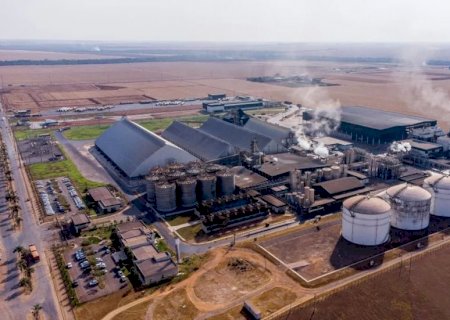 Brasil na liderança: Biomassa quebra recorde de produção de energia em 2023