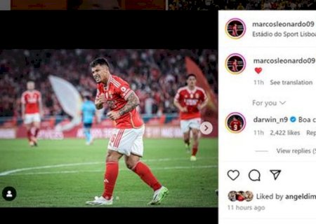 Marcos Leonardo faz mais um gol e recebe elogio de Darwin Nuñez