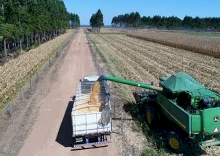 Cidades do agro não desmataram mais que outras e criaram novos negócios