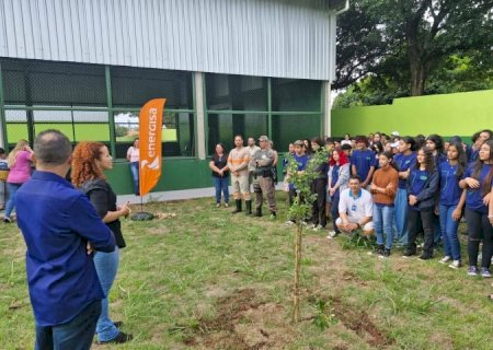Conscientização ambiental em escolas de MS faz plantio de mudas e aborda até cuidados com rede elétrica