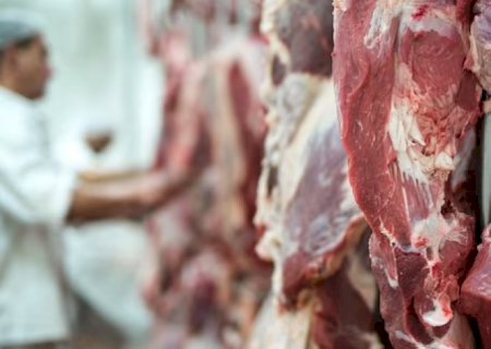 Produção de carnes atinge o recorde de 27,6 milhões de toneladas