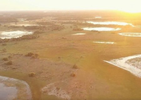 Imasul convoca proprietários de imóveis no Pantanal com processos em andamento para adequação à nova lei