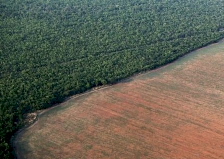 Prazo para aderir ao controle do desmatamento começa dia 12 de abril