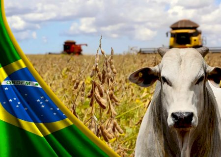 Mapa trabalha para uma gestão contemporânea com novas oportunidades para o agro brasileiro