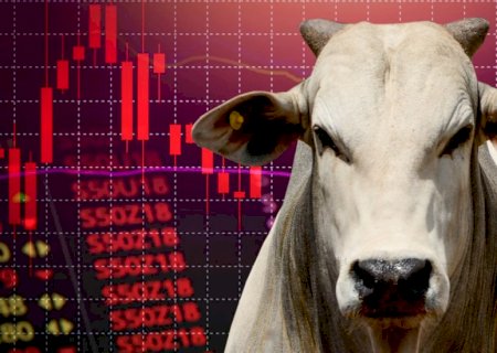 Pecuaristas começam a se preparar: Boi gordo vai ter queda assustadora; entenda