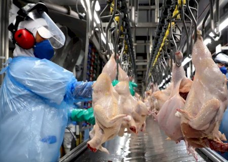 Carne de frango ganha competitividade frente as concorrentes