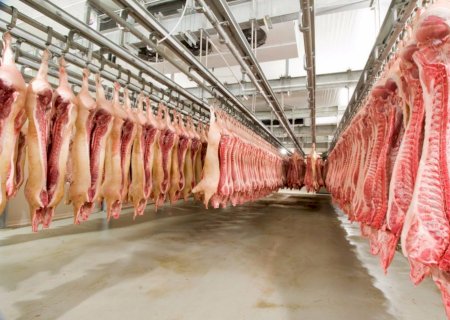 Carne suína perde competitividade frente às substitutas