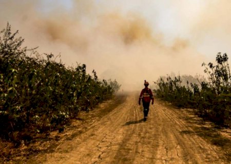 Em pior junho da história, Mato Grosso do Sul registra mais de 2,4 mil focos de incêndios