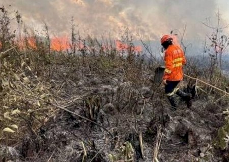 Pantanal registra mais de 900% de aumento nos focos de queimadas em 2024