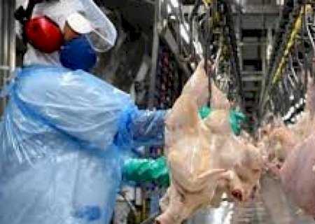 Brasil eleva exportação de carne de frango em maio