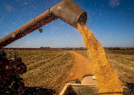 Mercado doméstico de milho deve encerrar semana com negócios morosos