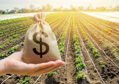 Desembolso do crédito rural chega a R$ 373,4 bilhões em onze meses