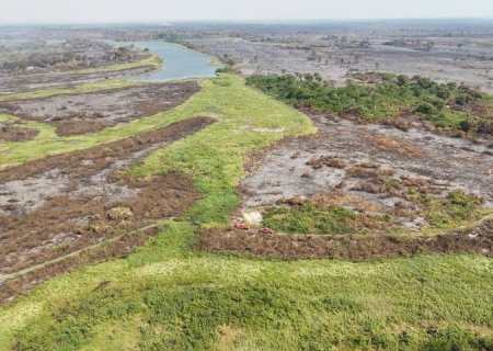 Estiagem: Bombeiros de MS adotam estratégias diversas nas linhas de combate ao fogo