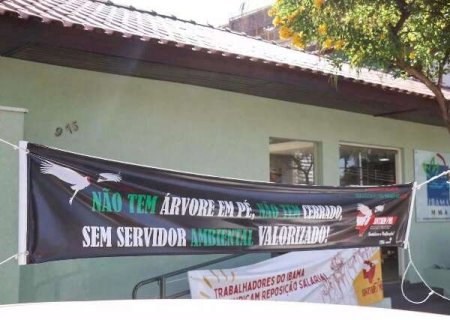 Servidores do Ibama encerram greve, mas vão recorrer de ordem do STJ