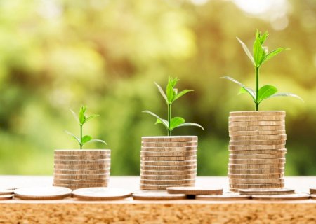 Queda nos investimentos e aumento de dívidas: cenários previstos após anúncio do Plano Safra 2024/2025