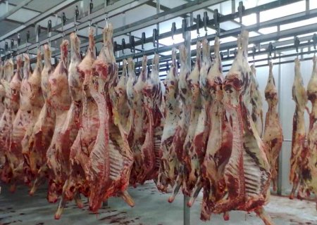 Egito abre mercado para carne bovina com osso do Brasil