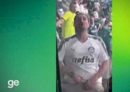 Palmeiras e polícia tentam identificar torcedor que mostrou pênis para uma botafoguense