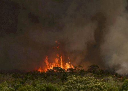 Incêndios podem ter afetado mais de 11 milhões de pessoas no Brasil