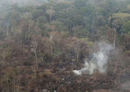 Delegado da PF diz que há indícios de ação coordenada em incêndios