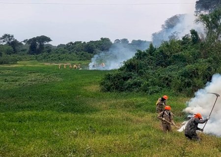 Chuvas no Pantanal de MS ajudam no controle de focos, mas Bombeiros mantém ações