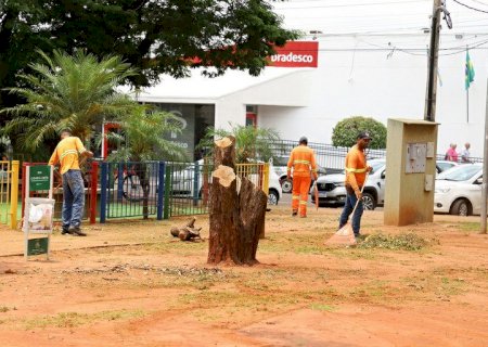 Vereadores requerem informações sobre alimentação de servidores da Semusp