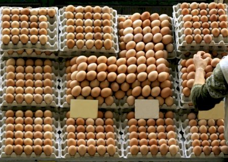 Preços dos ovos encerram 1ª quinzena do ano estáveis