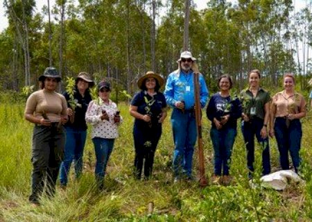 Nova Andradina inicia recuperação de nascentes para fortalecer preservação ambiental