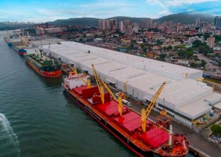 Puxadas pela celulose, exportações cresceram 25% em MS