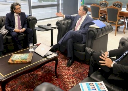 Saiba com quem o relator da OEA se reuniu na visita ao Brasil