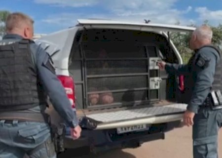 Mulher surta, diz que foi sequestrada e tenta decepar mão de homem no dente