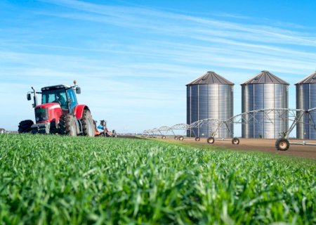 Brasil tem apenas 16% de capacidade para armazenamento da safra de grãos