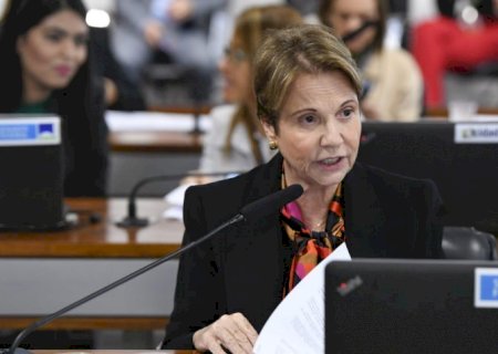 Senado decide se torna Pantanal Sul-Mato-Grossense patrimônio nacional