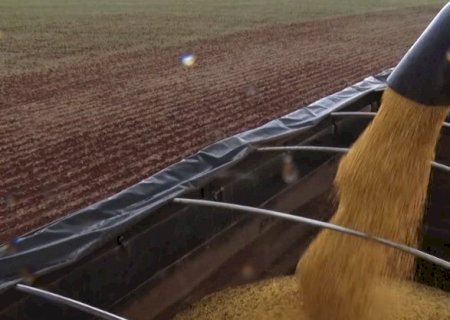 Soja: mercado segue voltado à guerra comercial após semana de boa movimentação