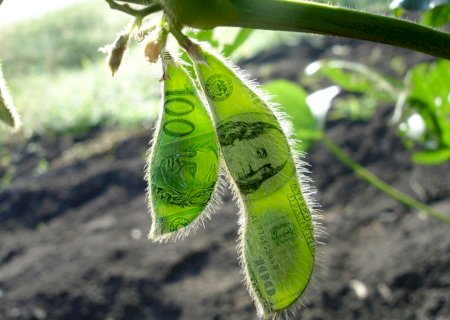 Saiba as cotações da soja em dia de anúncio de tarifas de 125% por Trump