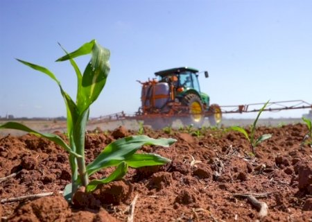Pesquisador revela maior uso de inseticidas em algodão e milho