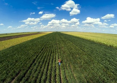 Plano Safra: governo quer adotar linha dolarizada de crédito com foco em exportações