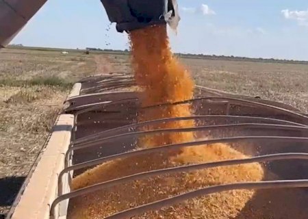 Preços da saca de milho: veja como fechou o mercado hoje