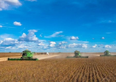 'O momento do preço doméstico é ideal para negociar a soja', diz analista