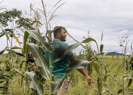 Jovens produtores apostam em sustentabilidade para fortalecer agricultura familiar