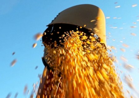 Queda nos preços faz produtores de soja adiarem vendas