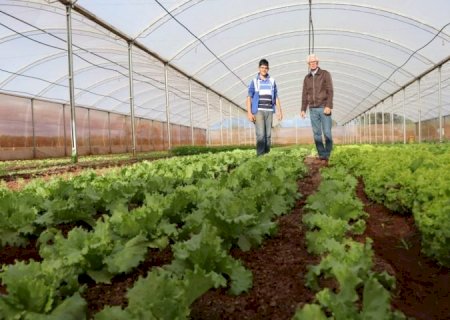 Trabalho em equipe da Agraer inspira criação de aplicativo nacional do Crédito Fundiário