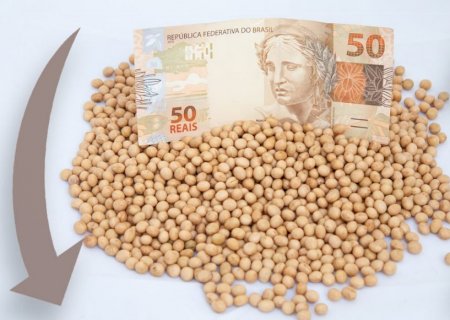 Soja: alta de Chicago e queda do dólar impactam preços no Brasil